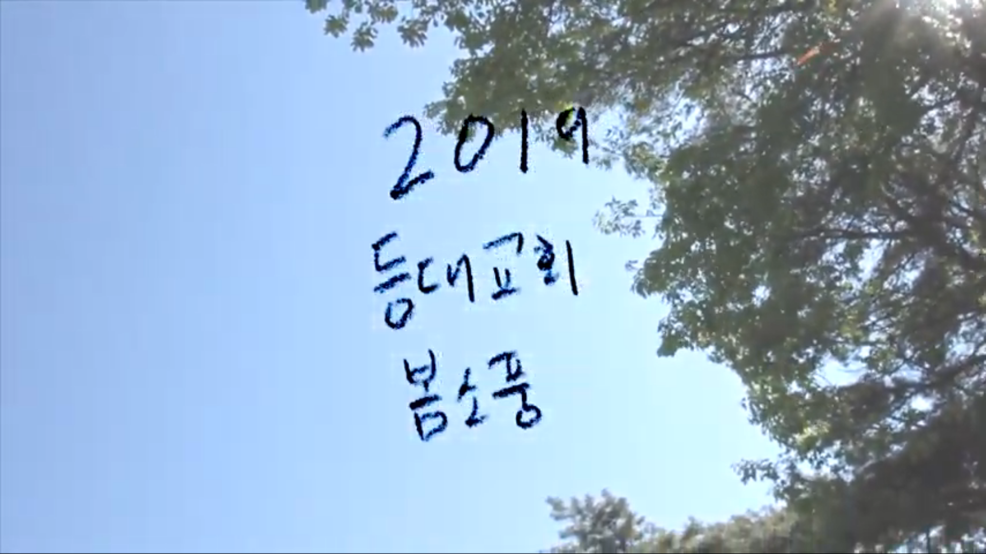 2019 등대교회 봄소풍 @ 임진각 평화누리 공원 & 출렁다리